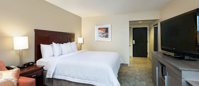 Hampton Inn Houston Galleria Area
