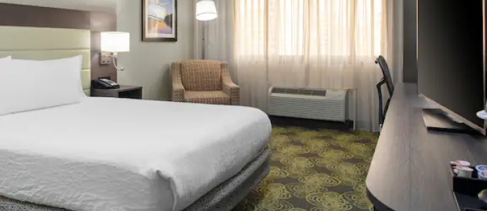 Hilton Garden Inn Reagan National Airport